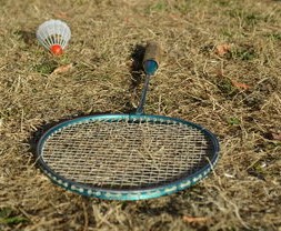 开云体育官方下载-世界羽毛球系列赛持续火热，国手展现风采，世界羽毛球比赛